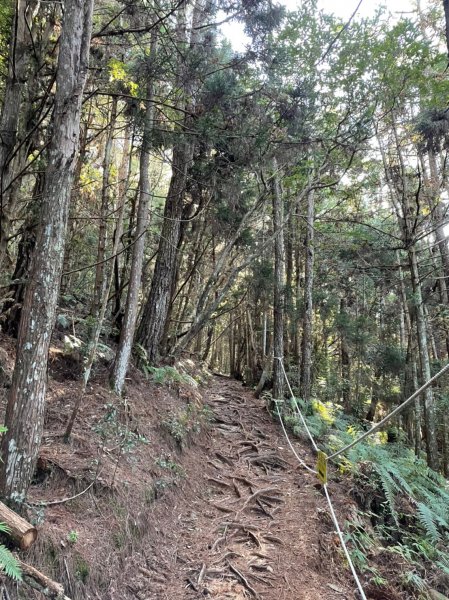 谷關七雄  老二  馬崙山  郊遊1469036