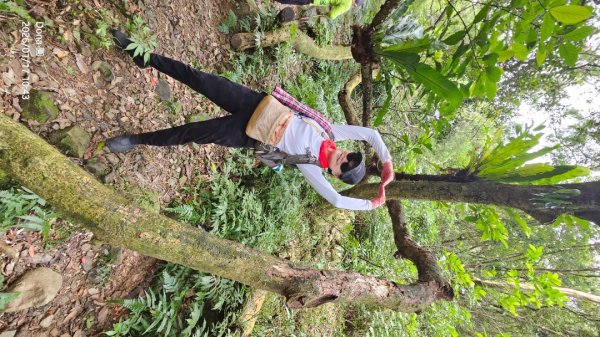 20260117淡蘭北路三段隆嶺古道+雪山尾稜北段+福卯古道大O走2990086