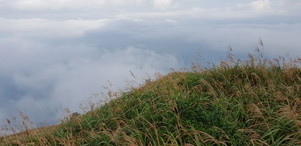 2019-0111基隆山1218248