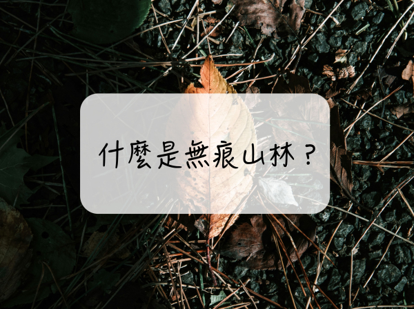 ［登山｜知識］愛山者的修行：認識無痕山林