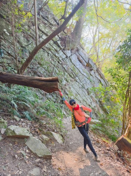 【谷關七雄】波津加(H1771.6m)肉腳配速成功2670611