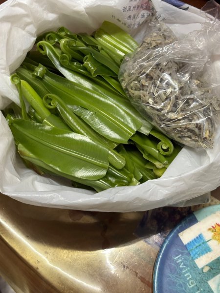 戲水（耘雲姊2786121