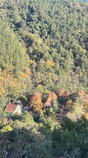 馬武霸下武陵2962386