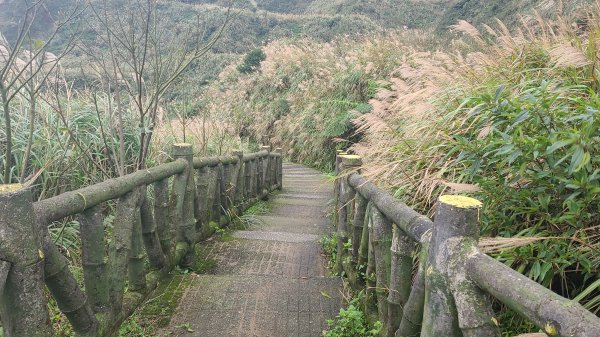 2021-1230 百二崁、燦光寮、貂山古道、地質公園步道O型1565429