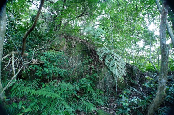 新北 三峽 內詩朗山、金平山2950918