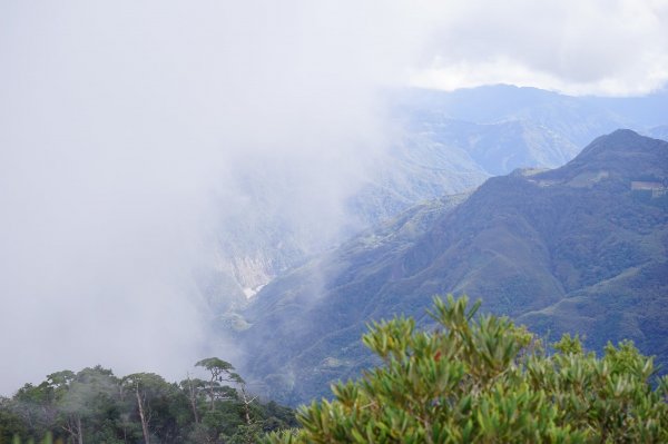 新竹關西鎮 水田林道之貴妃&那結山連走1539739