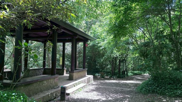 台北大縱走第一段2766809