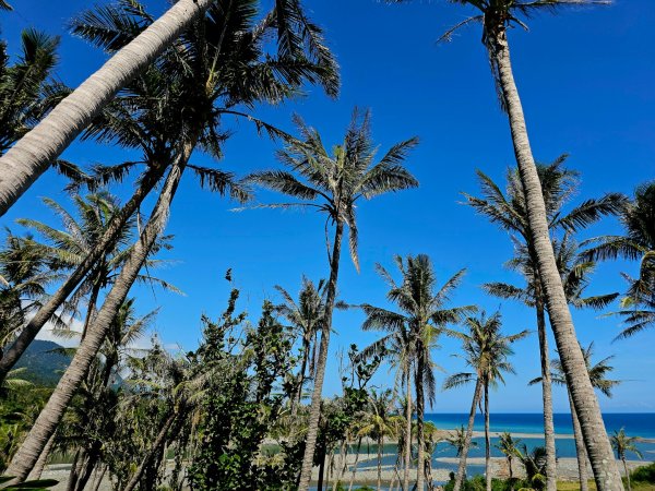 東河橋遊憩區步道-2025漫遊縱谷愛在花東-台東縣東河鄉2916709