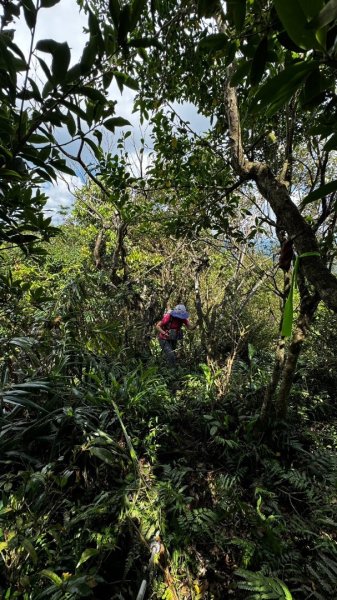 石龜山、叢雲山O走2592615