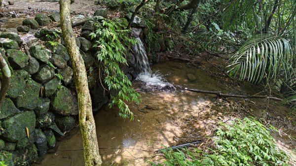 楊廷理古道2814608