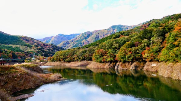 栃木縣紅葉谷大吊橋2930307
