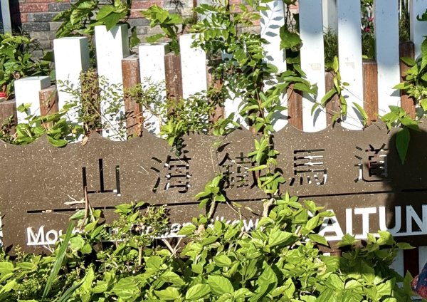 走逛台東 Day 2 鯉魚山步道 走走都蘭山步道1+K3009973