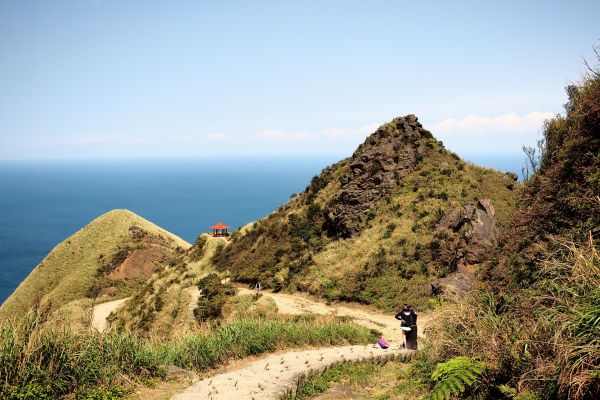 茶壺-半屏-燦光寮 早春286261