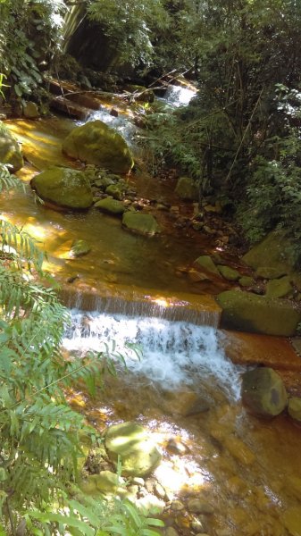 半嶺步道→陽峰古道→陽明公園→前山公園1028469