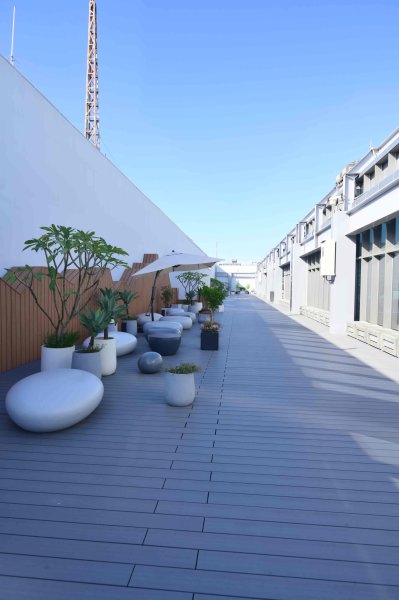 20251202松山療養所所長宿舍-新庄仔埤賞鳥平台-松山二坑-松山煤礦-松山機場觀景台2952816