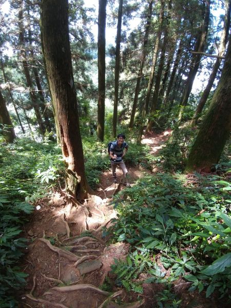   20170916留龍頭山+忘憂森林376792