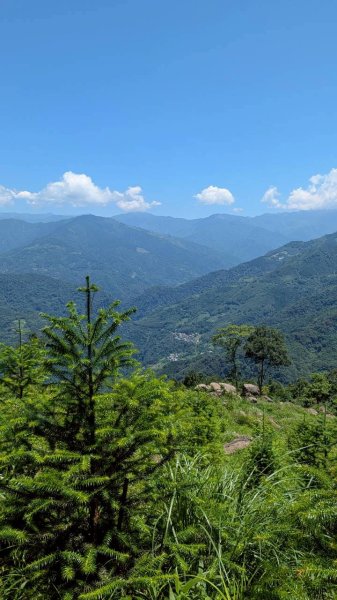 五指山步道3077071