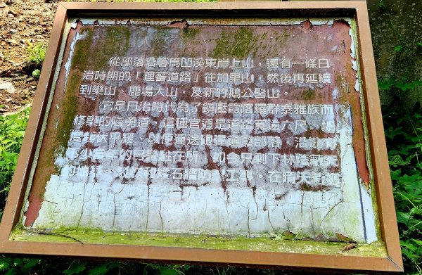 【中級山縱走】水雲三星，橫龍山，騰龍山，橫龍古道2742987