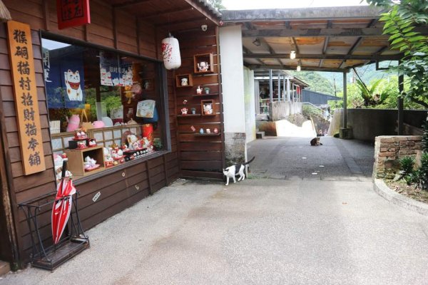 平溪  望古瀑布步道  猴硐貓村 運煤遺址。搭火車去旅行  最小的火車站 被人們忽略的秘境 望古瀑布2186153