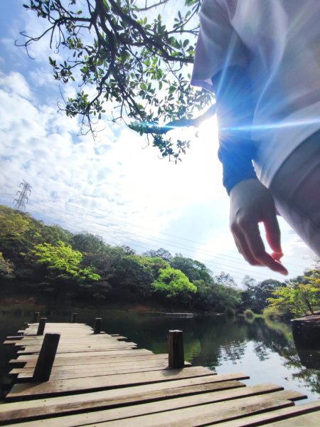 新山夢湖-友蚋山-友蚋南峰-五指山古道2755386