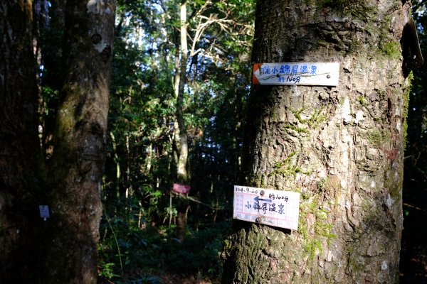 新竹尖石鄉 高島縦走1280668