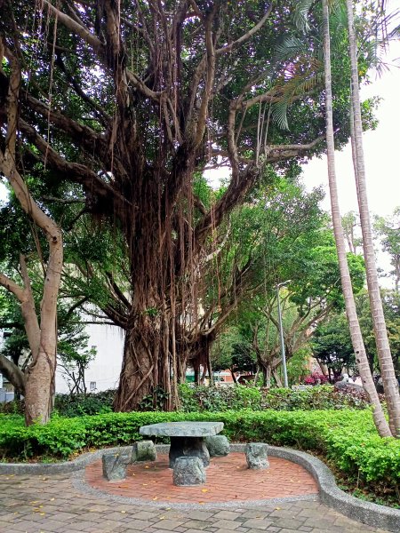 內湖瑞陽公園→文德三號公園→基隆河右岸→美堤河濱公園步道2089964