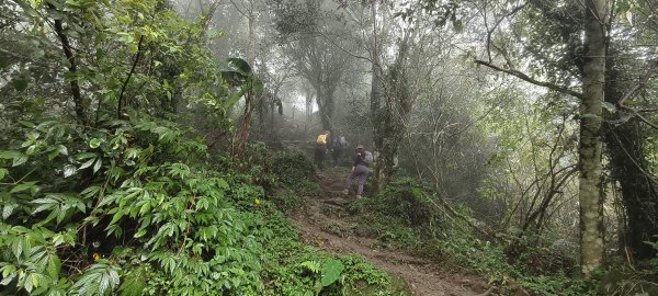 2024/12/14_關刀山步道O型2669302