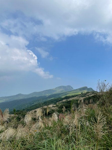 桃源谷步道(大溪線+草嶺古道線)-下大里天公廟1508088