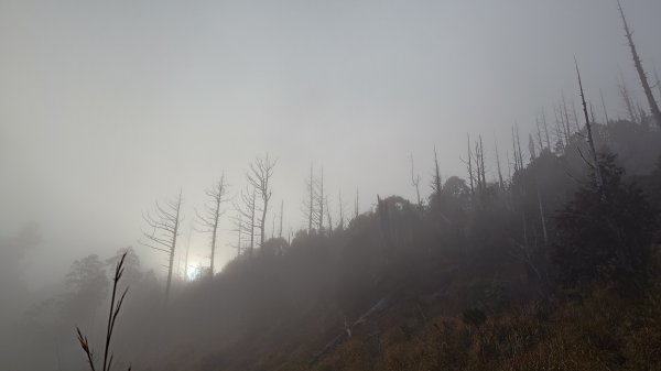 仙女散落的珍珠2723940