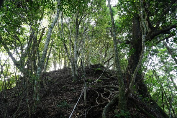 新竹 五峰 油羅山、霞山2798239