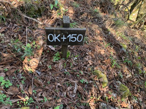 梨山賓館步道875980