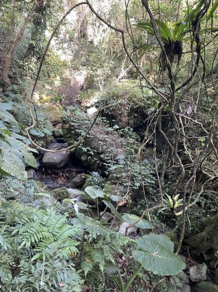 月扇湖大岩壁2952401