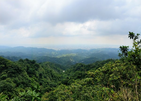 頭嵙山(小百岳#41)大坑4,5,1步道1003702