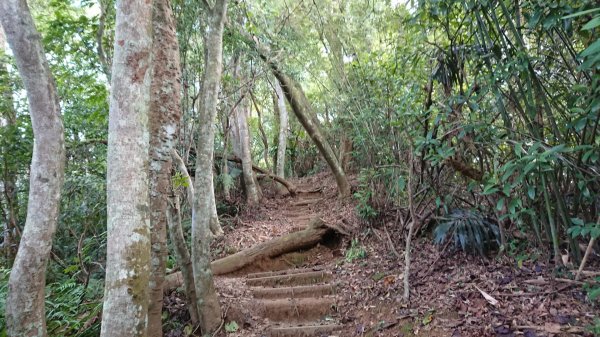 [慈湖]草嶺山-白石山-百吉隧道O型1143844