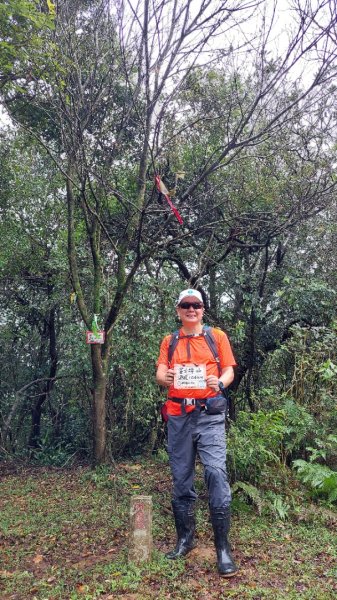 陽明山後花園，百年靜美牧牛山徑，古道草原精華連走2787729