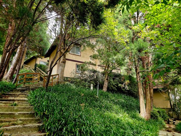 野馬瞰山步道-2025森遊竹縣皮皮獅探險隊