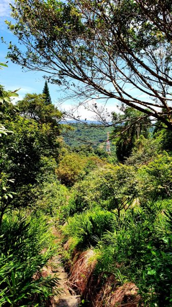 紫微聖母環山步道，五尖山，原住民族生態公園，大平紅橋，三坑自然生態公園1746427