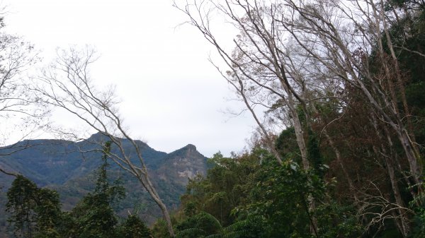 水雲三星之鳳-上島山(鳥嘴山)508305