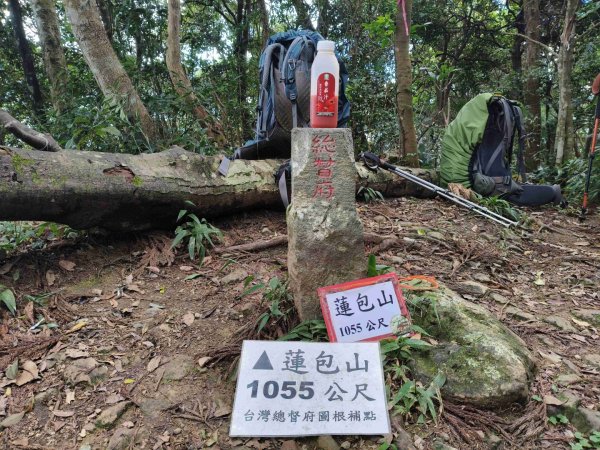 外鳥嘴蓮包山O縱2893164