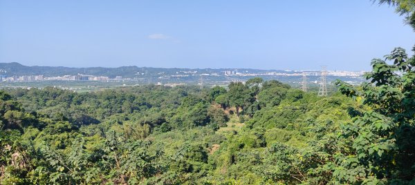 飛鳳山3120012