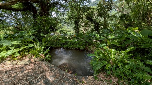 114.06.01溪山百年古圳-太平尾山+聖人崙之旅2801820
