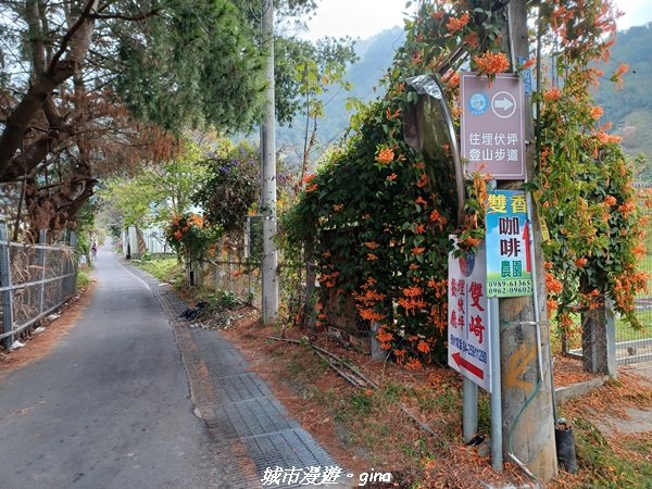 【台中和平】 雙崎部落款款行。 埋伏坪登山步道 (埋伏坪山)2082084