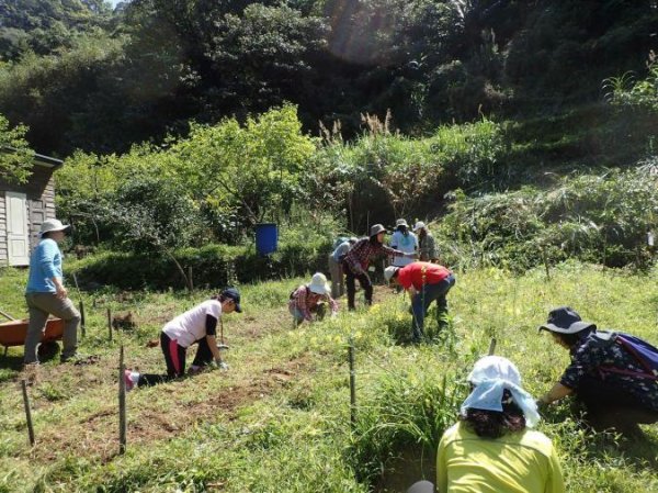 「荒野」前，「荒野」後