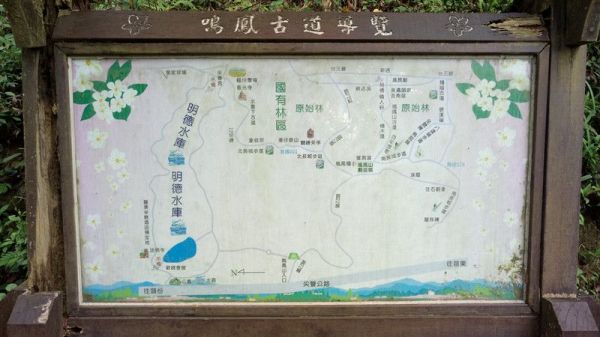 鳴鳳山古道116731