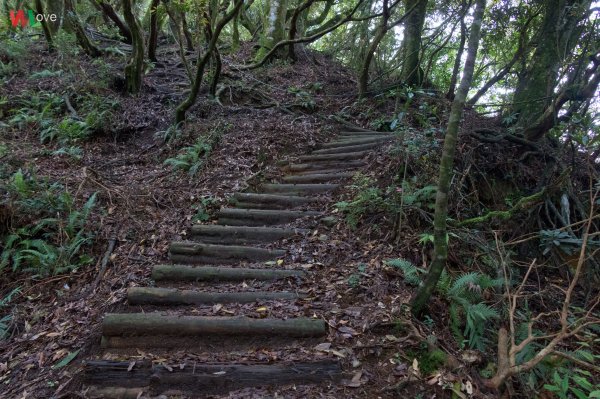 WL 愛旅行【塔曼山】593401