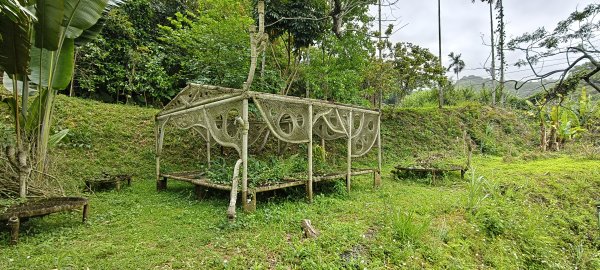 2025/04/13_大窩文史生態區步道2760234