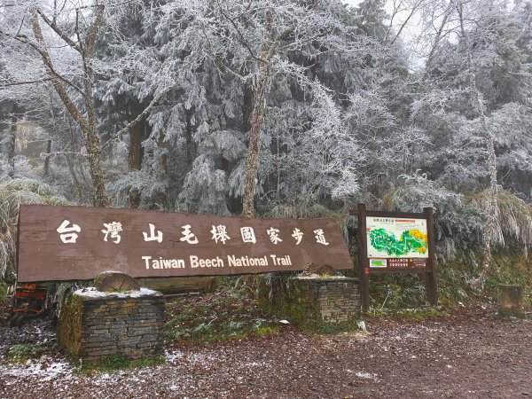 東部｜太平山國家森林公園1580359