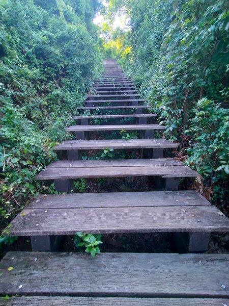 柴山/半屏山2858150