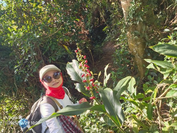 20251229石龜坑山上白石山下白石埤O走+阿姆坪2976661