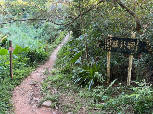 新北 林口 森林步道3015270